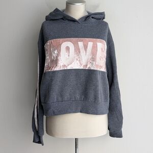Gray and Pink Velvet "Love" Hoodie Sweater